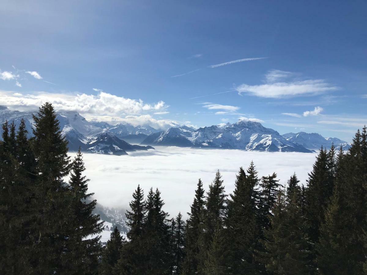 Chalet Rouge Coeur Bex Luaran gambar