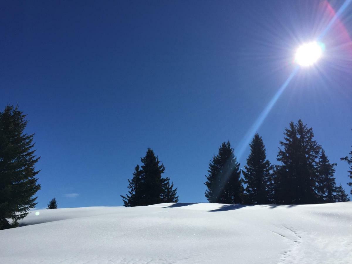 Chalet Rouge Coeur Bex Luaran gambar